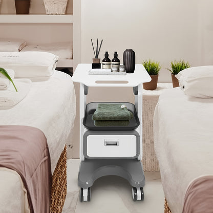 Opbergwagen – Mobiele Werkwagen – Beautywagen – Schoonheidskar – Medische Trolley – 4 Zwenkwielen Met Rem – Stevig ABS Materiaal 44x36x76 cm