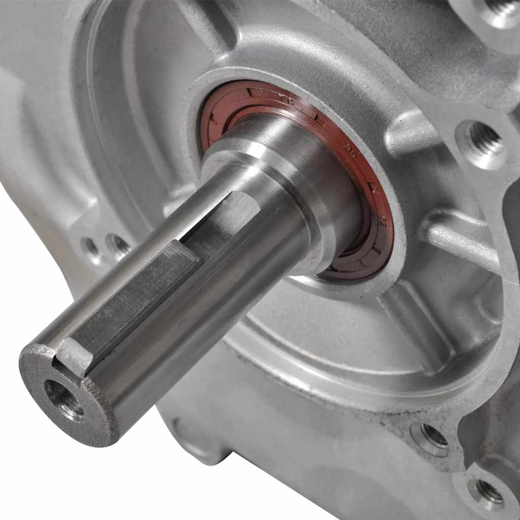 Benzinemotor – Gasmotor – Benzinemotorblok – Verbrandingsmotor – Stationaire Motor – 11 kW Vermogen – Recoil Starter en Geluidsdemper