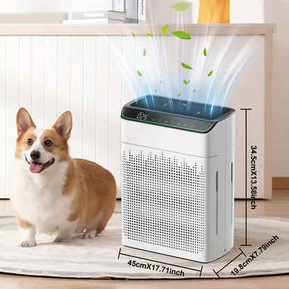 Luchtfilter – Luchtreiniger – Air Purifier – Luchtzuiveraar – Luchtfilter voor huis – Hepa Filter – Stil 23 dB – Timerfuncties & Automodus