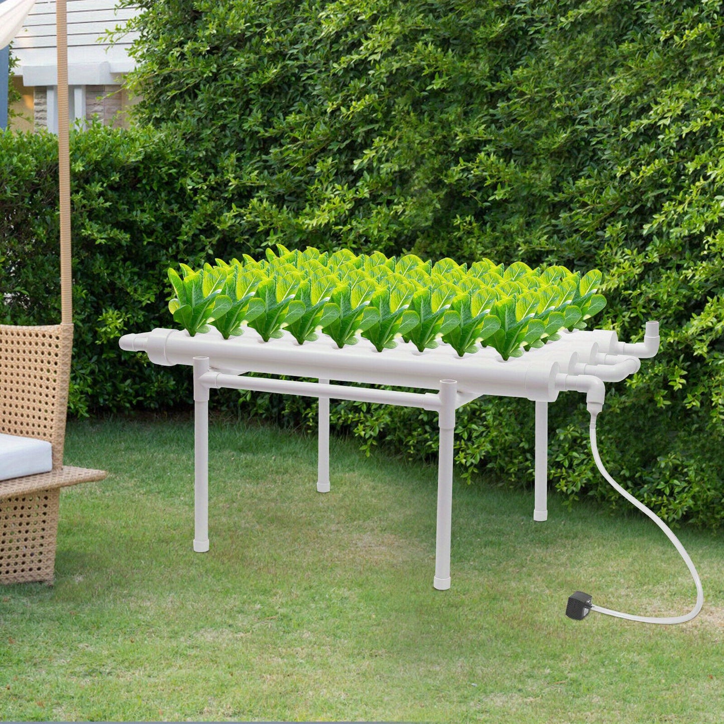 Hydroponische Kweekset – Hydrocultuur Bak – Plantenkweekset – Kruidenkweekbak – Groentekweker – 36 Gaten – Zonder Elektriciteit – PE Materiaal – Transparant Design