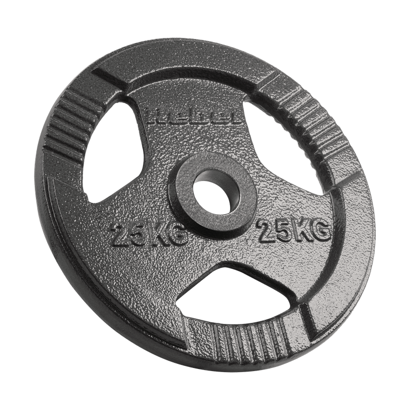 Gewichtplaat – Gewichtsschijf – Halterschijf – Gewicht Schijf – Gietijzeren Gewicht – 25 kg – 51 mm Gat – 3 Handgrepen
