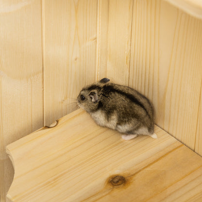 Hamsterkooi – Knaagdierkooi – Muizenkooi – Klein Dierenhok – Houten Kooi – 5 Verdiepingen – 10 Platforms – Natuurlijke Dennehout – Ruime Afmetingen 60x40x120 cm