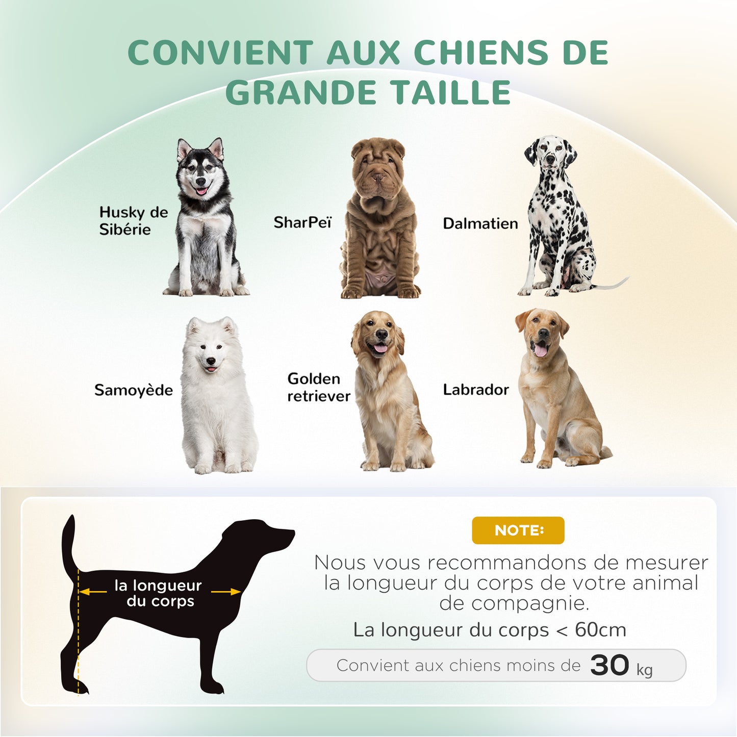 Hondenbankje – Dierenbank – Huisdierenbank – Kattenbankje – Groen – Zacht Fluwelen Bekleding – Afneembaar Wasbaar Kussen – Stevige Houten Poten – 100x70x25 cm – Geschikt Tot 30 kg