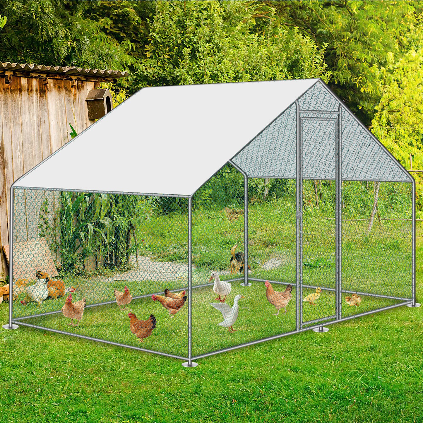 Chicken Coop Outdoor Enclosure with Waterproof PE Paint Cloth Plenty of Space for Chickens, Rabbits and Other Small Animals Roof With PVC-coated Sturdy Steel Frame Free Range Enclosure Triangular roof/dome Galvanised Steel Fr