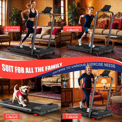 CharonFit Treadmill 2.25 HP 100kg 4% Incline Foldable, Compact Treadmill, Folding Treadmill, Portable Treadmill, Walking Machine, Exercise Treadmill, Indoor Treadmill, Foldable Tridmill Mini Size, Heavy Duty Treadmill, Treadm