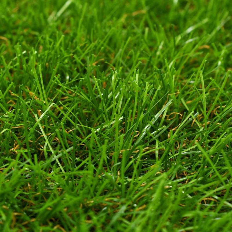 Kunstgras – Nepgras – Siergras – Gazon – Vloerkleed – Verde – 1x5 Meter – 30 mm Hoog