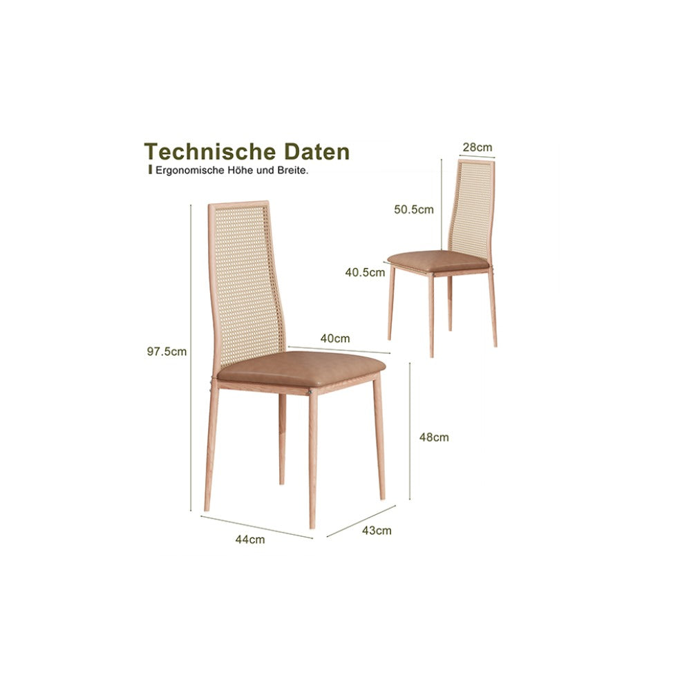 Rattan Eetkamerstoelen – Rotan Stoelen – Tuinstoelen – Keukenstoelen – Bistrostoelen – Mid-Century Modern Design – Weerbestendig Metalen Frame – Compacte Afmetingen 97,5x43x44 cm