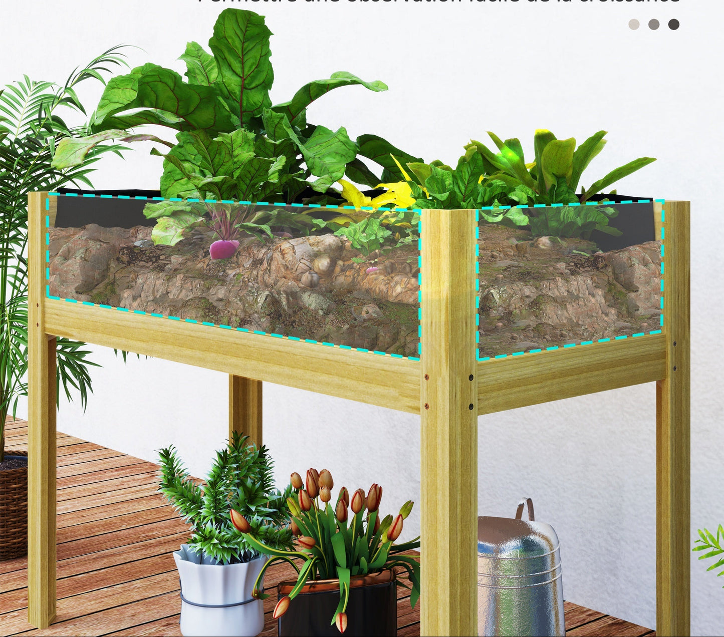 Plantenbak – Bloembak – Moestuinbak – Kruidenbak – Verhoogde Houten Plantenbak Op Poten – Natuurlijk Hout – Acryl Zijpanelen – Efficiënt Afwateringssysteem