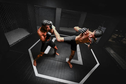 N NETSPA Ice Bath UFC (SP-UFC301) - ICEBATH UFC Dropstitch Cold Bath: innovatie in de hersteldienst - 170 x 67 x 92 cm - 1 persoon - 320 L - compatibel met ijsblokjes en chiller