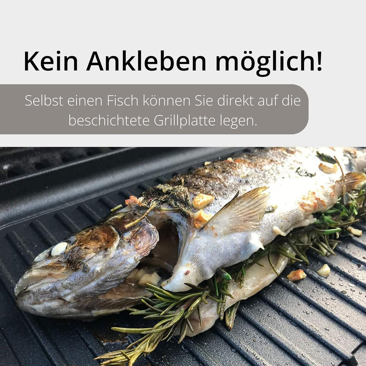 Favoriete pan Teppanyaki grillplaat XXL 43x28 cm - gladde plancha met anti-aanbaklaag van aluminium voor alle warmtebronnen, incl. inductie en buitengrill