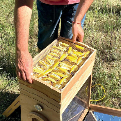 OMY Droger op zonne-energie, 200 W, 3 dienbladen van roestvrij staal, droogapparaat voor fruit, groenten en gedroogde planten, thermometer, ventilator, zonnepaneel