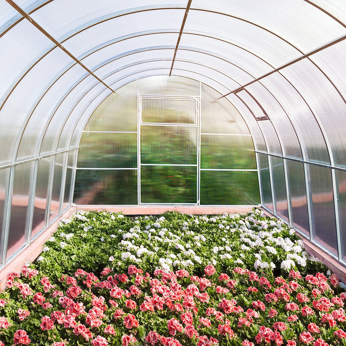 Polycarbonaatplaat – Kunststofplaat – Kanaalplaat – Dubbelwandige Plaat – Tuinplaat – UV-bestendig – 4 mm Dikte – 60,5 x 121 cm – Lichtdoorlatend – Schokbestendig