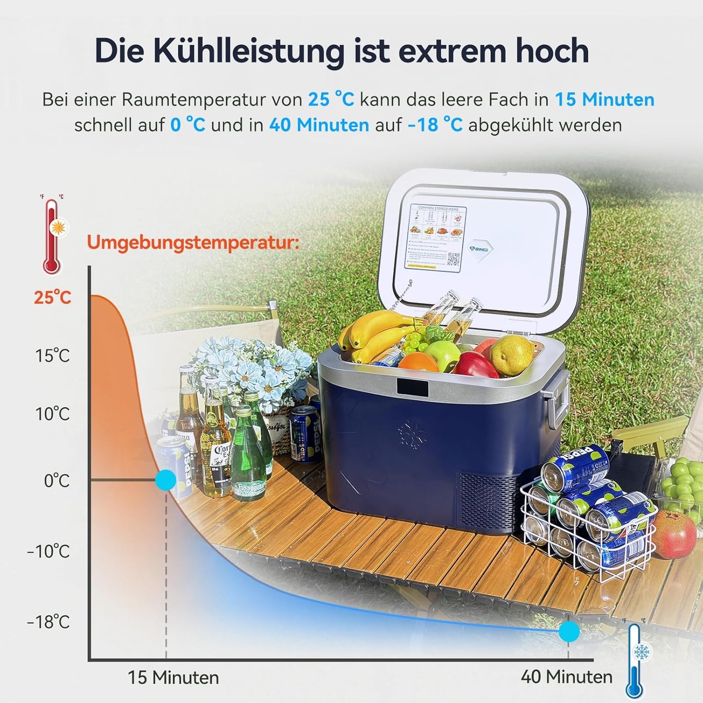 BINGI Compressor-koelbox, 18 l, mini-draagbare elektrische koelkast, 12/24 V DC, elektrische vriezer, draagbare vriezer voor auto, vrachtwagen, picknick, camping en thuisgebruik