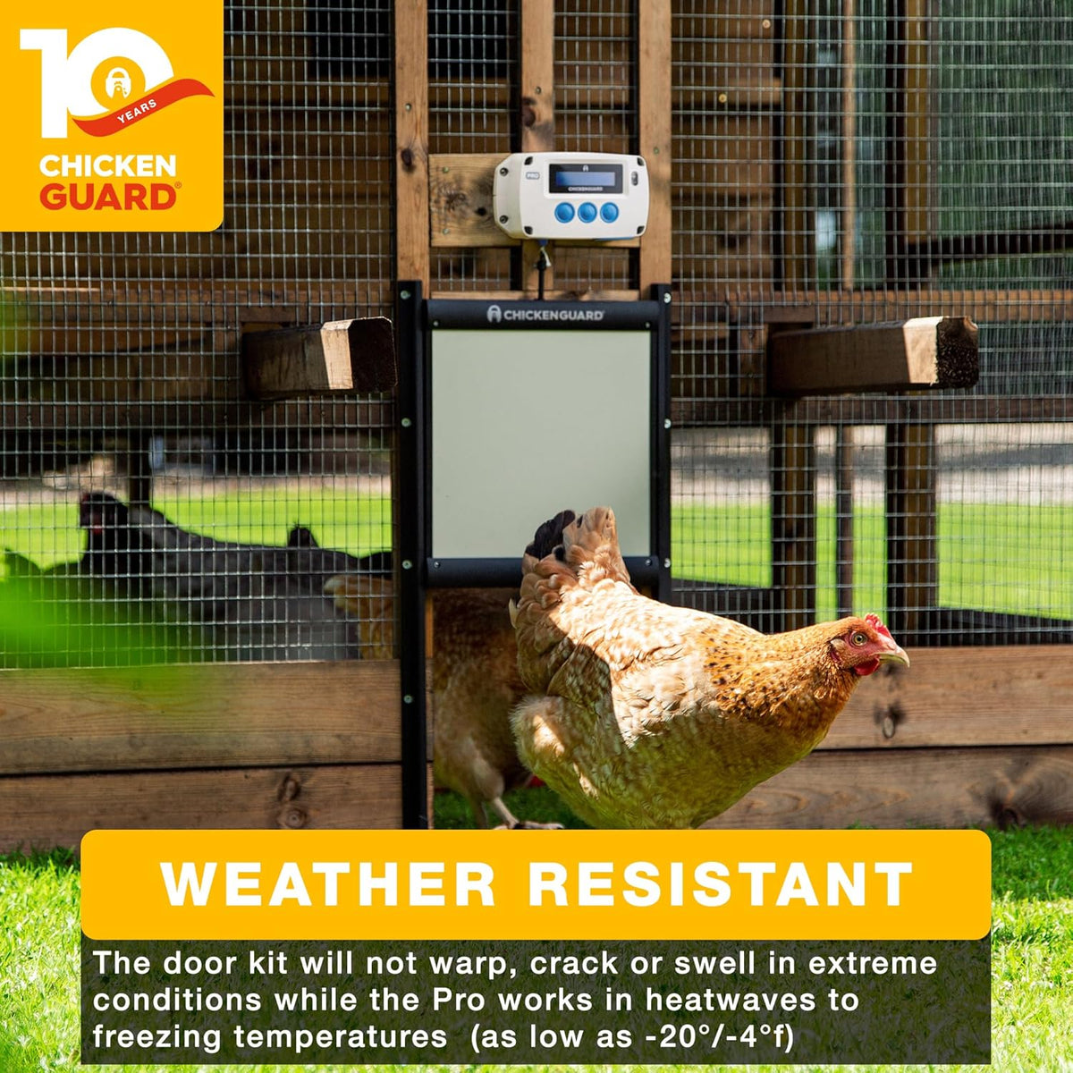 ChickenGuard Automatic Chicken House Door Opener, Power Source: Solar/Batteries/Electric. Timer/Light Sensor; Motor units alone or Combination kits. (PRO + Door + Batteries) - QUORE