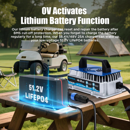 48V LiFePO4 Acculader – Lithium Batterijlader – Oplaadadapter – Power Charger – Accuvoeding – 58,4V 25A 1250W – IP67 Waterdicht Met Koelventilator