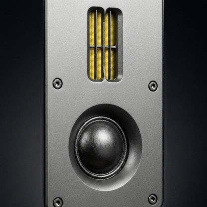 Dynavoice Definition DM-6 II Zwart – HiFi Boekenplank Luidsprekers Passief 6,5 Inch Kevlar, 2 Tweeters Ribbon + Soft Dome, X-Change Systeem, 35-32.000 Hz, 120W, 6 Ohm – Set van 2.