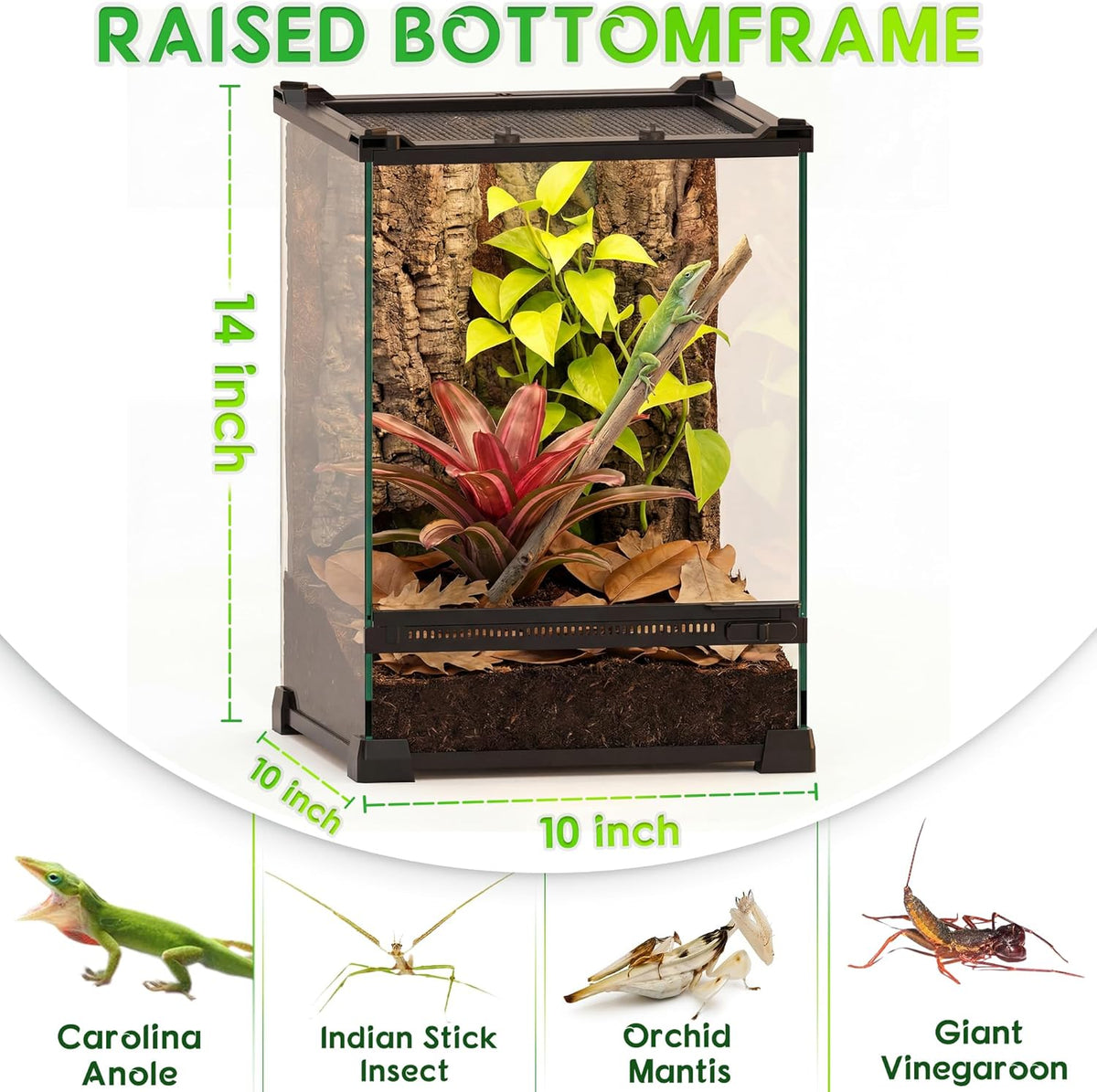 Mini Reptiel Glas Terrarium 10 "x 10" x 14" Duurzame Reptielen Habitat Tank met Hittebestendig Aluminium Frame Enkele Swingdeuren voor geen Jam door Zand en Andere Puin