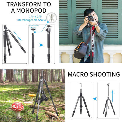Draagbare 10 Lagen Koolstofvezel Statief - INNOREL RT45C+N36 Professionele Reizen Compact Lichtgewicht Statief Monopod voor DSLR Camera Camcorder met 36 mm Low Center Gravity Ball Head, Load 33lb/15kg