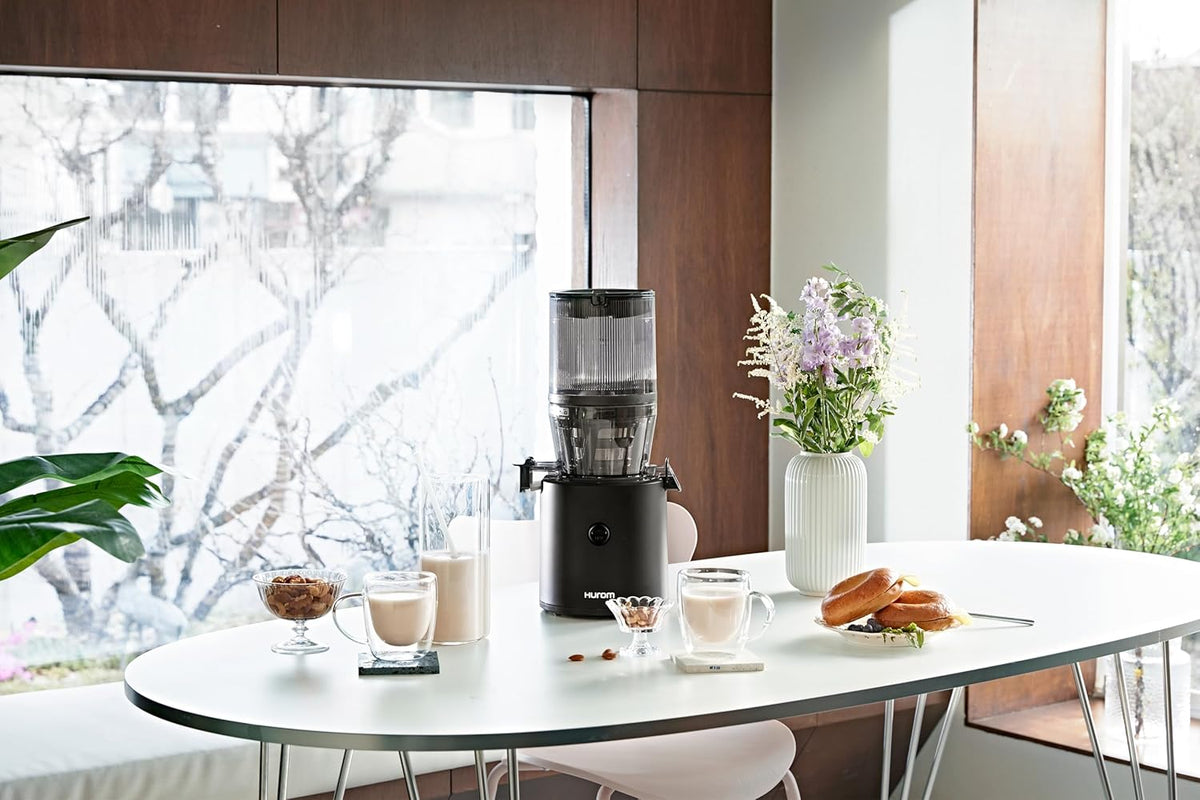 Hurom Slowjuicer | Sapcentrifuge voor groenten en fruit | H320N | Elektrische koudpers | Stille motor | Gemakkelijk schoon te maken met grote container en zeefilter 2L | BPA-vrij (ZWART)
