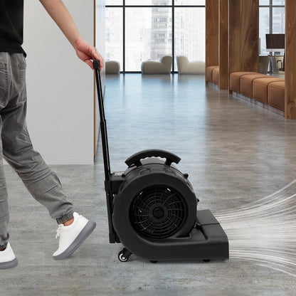 Vloerblazer – Droger – Ventilator – Blazer – Luchtverplaatser – 750W Turbo Motor – 3 Snelheden & Verstelbare Blaashoek