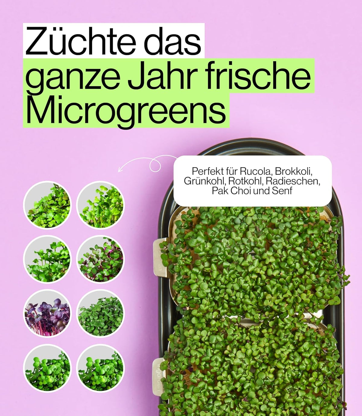 Smart Garden Starter Set - Indoor Garden met LED voor microgreens - incl. 12 biologische zaadpads - schaal van keramiek vulkanzwart - Scandinavisch design - klaar voor oogsten in slechts 7
