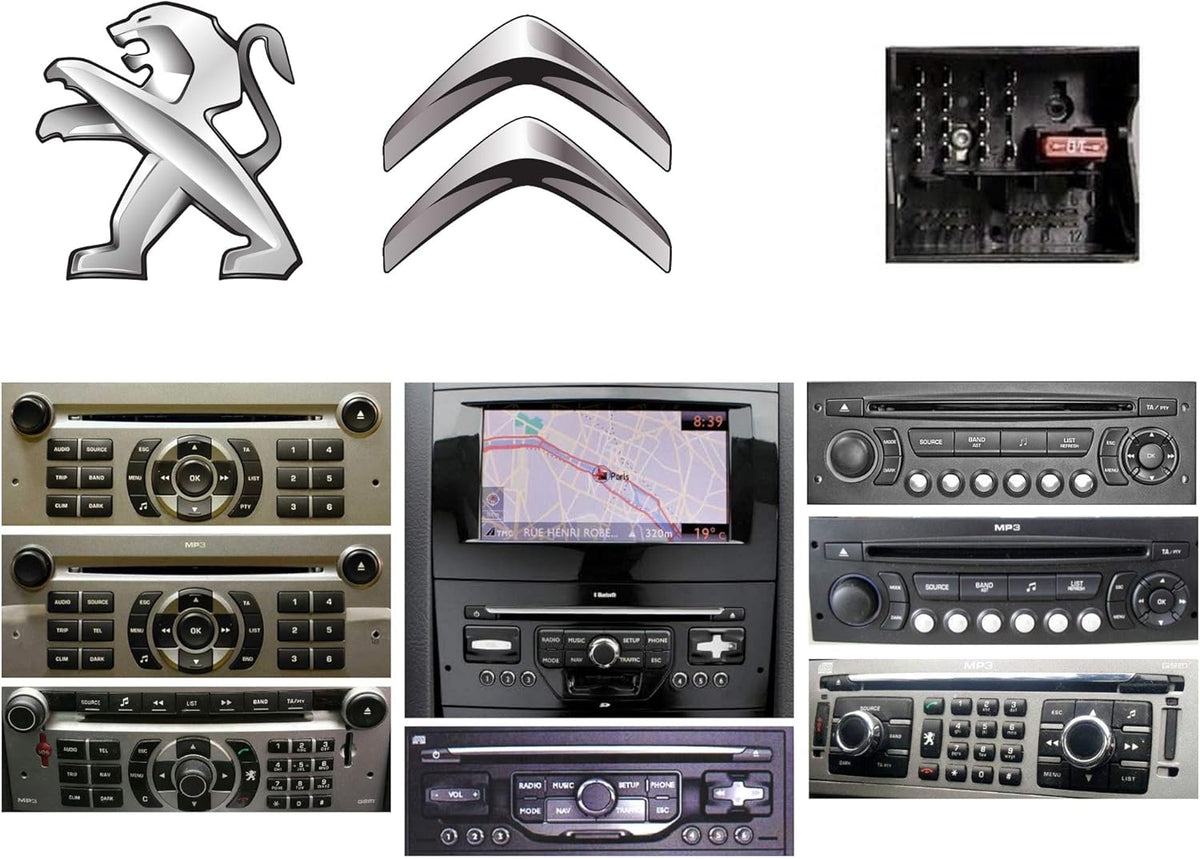 Interface MULTI-LINK-PSA-CAN