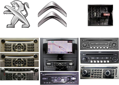 Interface MULTI-LINK-PSA-CAN