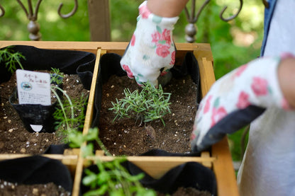 Herb Garden - Natural (FSC 100%)