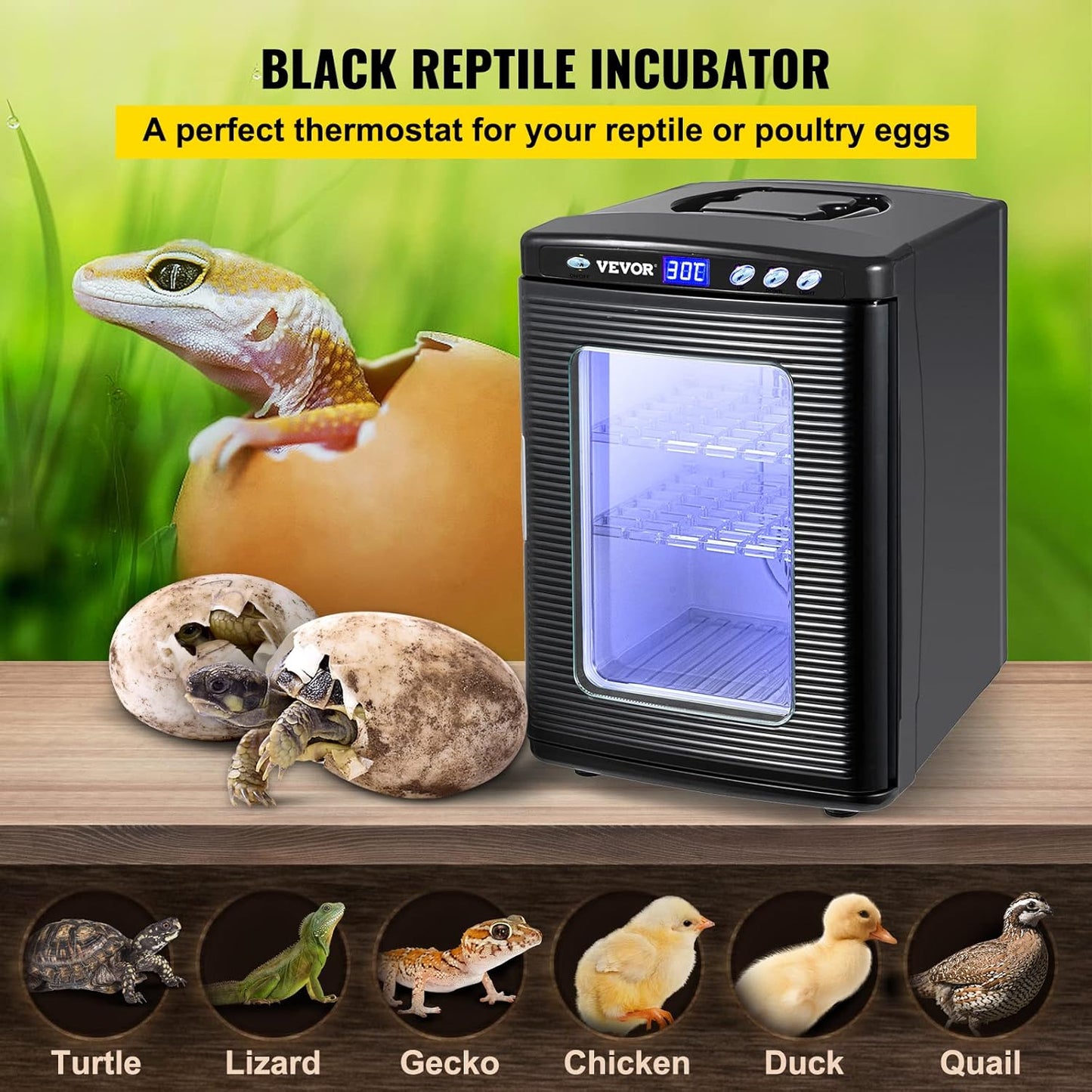 Happybuy Scientific Lab Incubator, 25 Litres, Cooling and Heating, 5-60°C, 12V/110V, Works for Small Reptiles, Black - QUORE