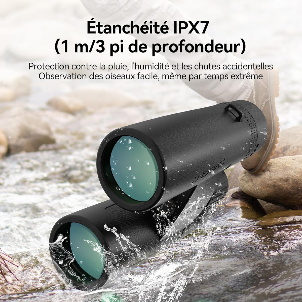 Svbony Upgraded SV202 8x32 ED Binoculars, BAK4 Prism FMC Lens, IPX7 Waterproof, Phase Correction, Dielectric Prism Coating, Wide Angle Lens for Adults, Bird Watching - QUORE
