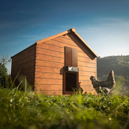 RUN-CHICKEN Automatic Door For Chicken Coop (Brown), With Timer, Programmable, Batery Powered, Door Opener For Chickens, Solar Powered, Door For Chicken Coop, Model Eternal - QUORE
