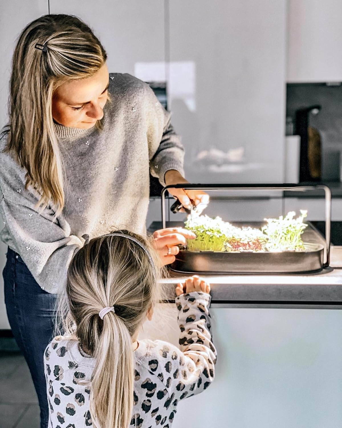 Smart Garden Starter Set - Indoor Garden met LED voor microgreens - incl. 12 biologische zaadpads - schaal van keramiek vulkanzwart - Scandinavisch design - klaar voor oogsten in slechts 7