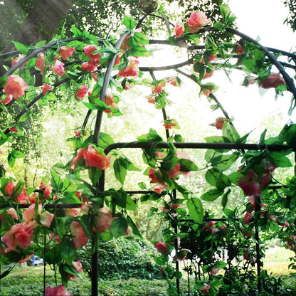 OUTOUR® Franse stijl 4-zijdige vogelkooi vorm metalen tuinhuisje pergola paviljoen boog prieel planten standaard rek voor buiten tuin gazon achtertuin terras, klimwijnstokken, rozen, bloemen, donkere