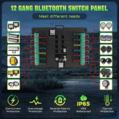Chelhead 12-gangs schakelpaneel met 80A RGB-app-bediening, multifunctioneel, dimbaar, bluetooth, afstandsbediening, waterdicht, universeel