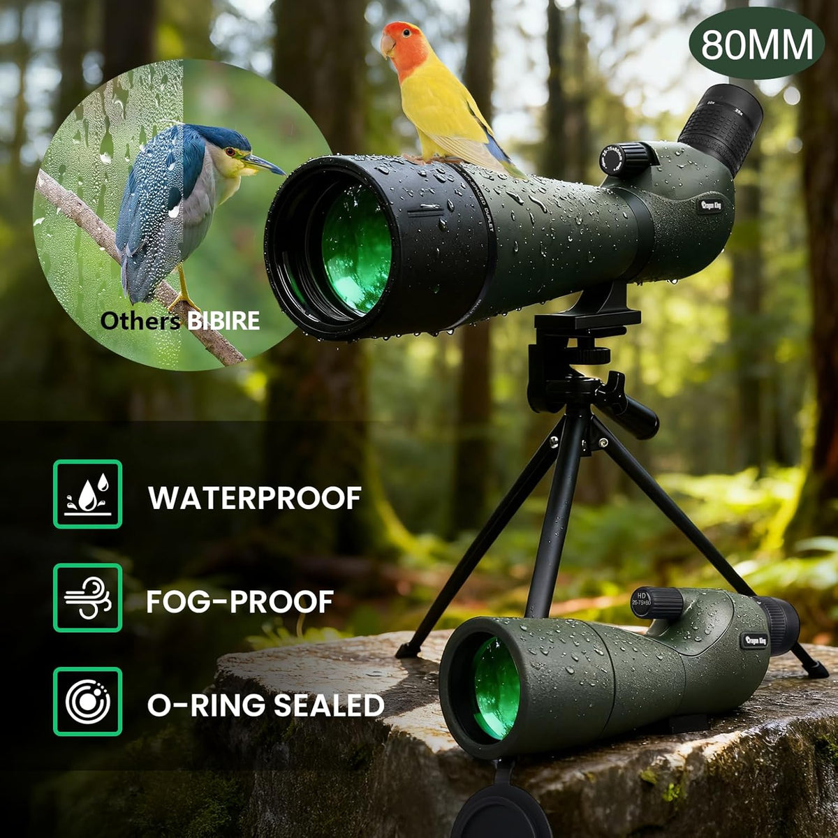 BIBIRE HD-langzichten voor schieten op doel, hoekuitzicht 25-75 x 80 cm, met statief en adapter voor telefoon met lang zicht voor vogelobservatie, wilde dieren en jacht
