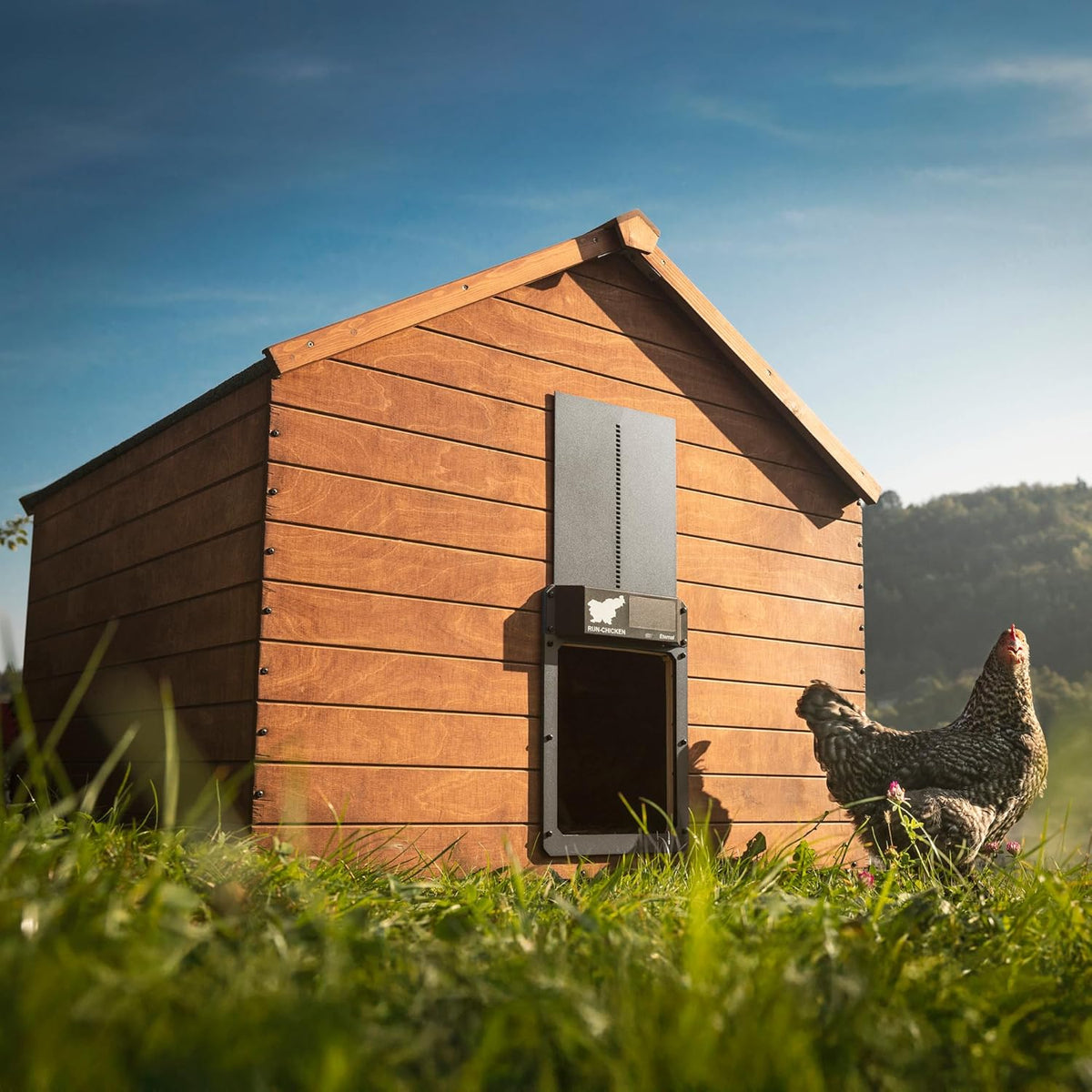 RUN-CHICKEN Deur (Grijs) Solar Kippenhok, Batterij Aangedreven Automatische Kippenhok, Programmeerbare Elektrische Kippendeur met Timer, Lichtsensor, Zonne-energie, Eternal