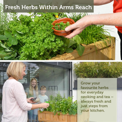 Herb Garden - Natural (FSC 100%)