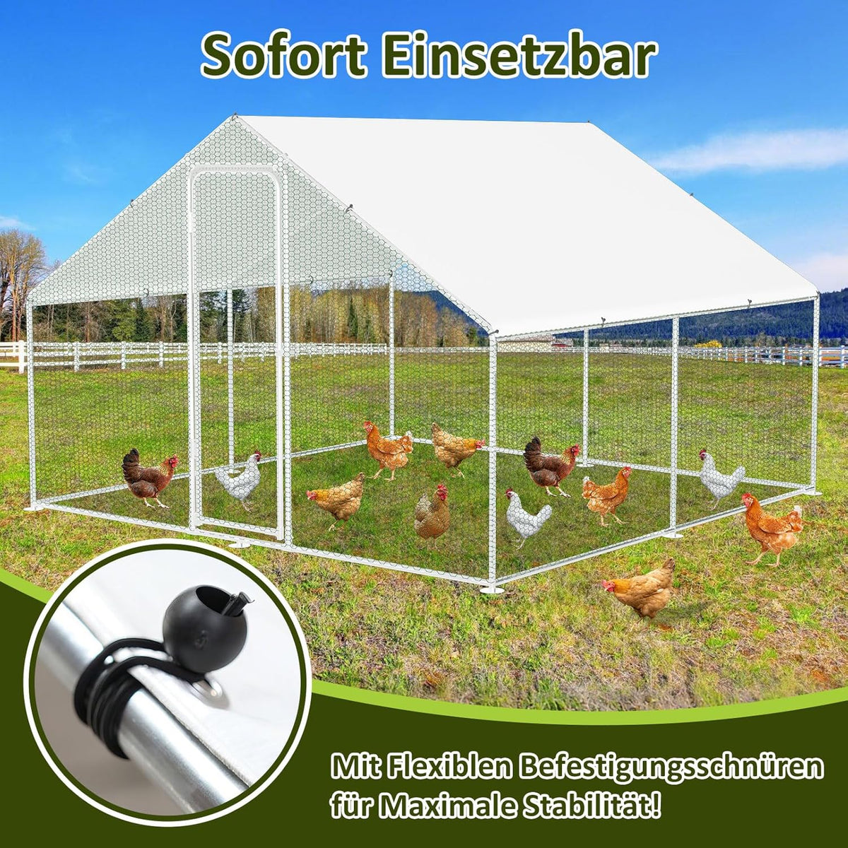 Kippenhok – Buitenren – Dierenhok – Vogelkantoor – Buitenkooi – Verzinkt Stalen Frame – Afmetingen 3x6x2 Meter
