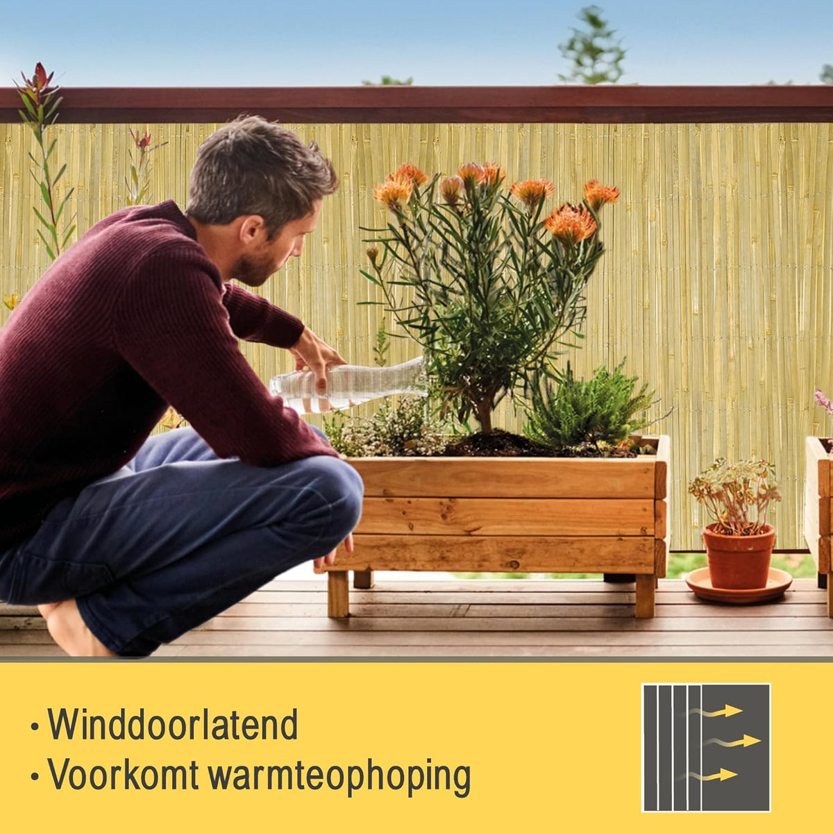 Sol Royal Privacy Scherm Bamboo Licht Glanzend 200x600 cm – Weerbestendig Bamboe Mat Wind Scherm Tuin Bamboe Balkonscherm – Robuust Natuurlijk Inkijkbescherming van Natuurlijk Bamboe Tuinscherm – B33