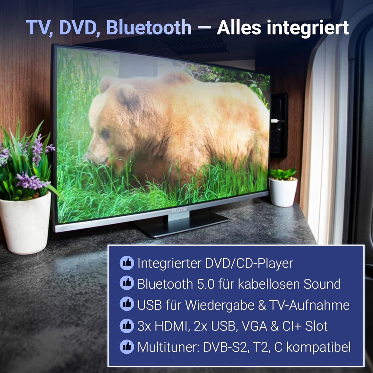 Falcon 19" TV WebOS SMART TV Wifi Camping – 12V/24V, geïntegreerde dvd-speler, Bluetooth 5.0, USB, streaming, Freeview, Netflix, Prime Video, pitch perfecte televisie voor camper, camper IPTV