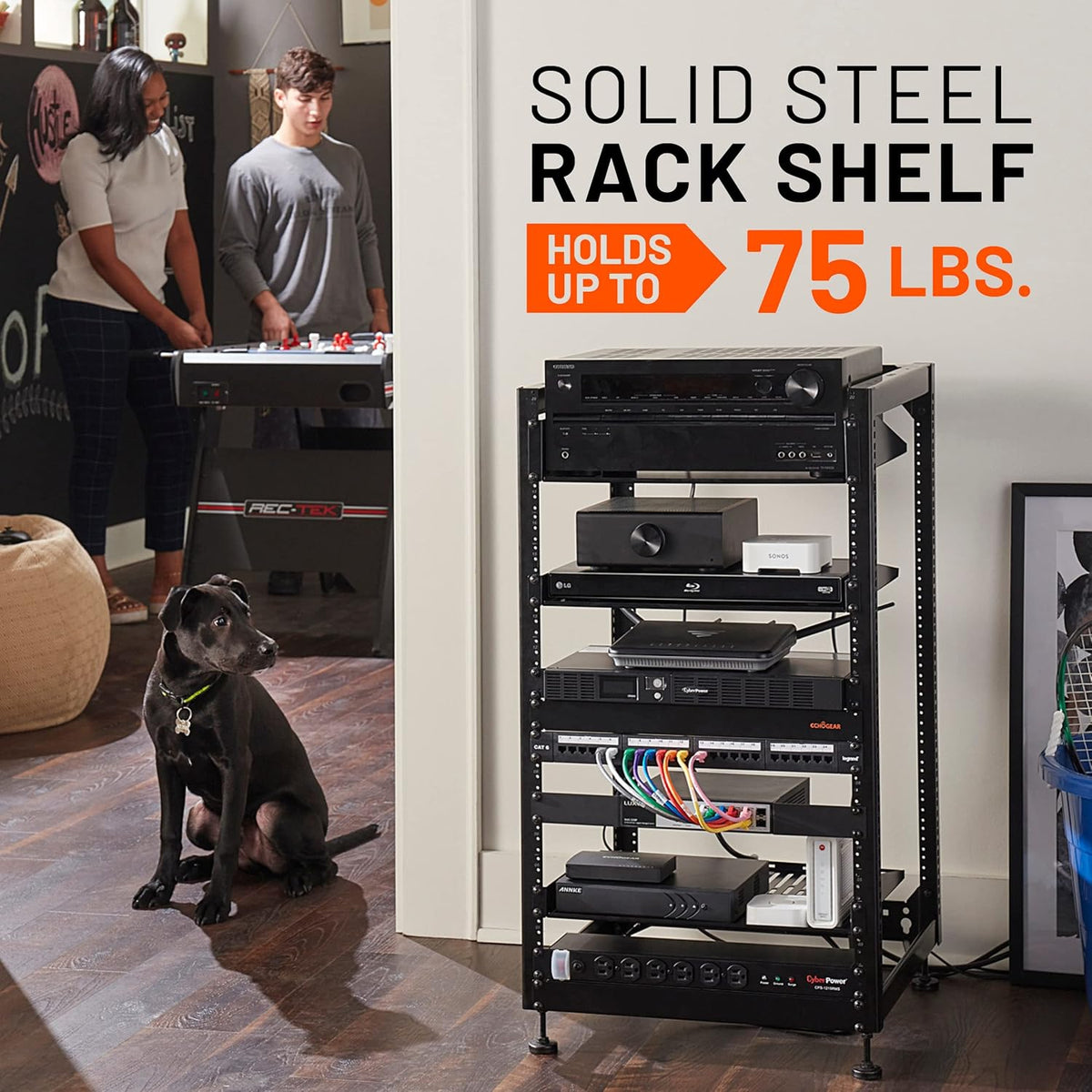 ECHOGEAR 3U Rack Shelf - Universeel ontwerp werkt met elk rack - Geschikt voor 75bs servers, netwerkapparatuur of AV-apparatuur - 15" diepe stalen plank met geventileerd ontwerp - Installatie hardware