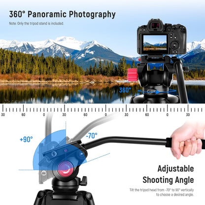 NEEWER 79"/200cm Video Statief, Heavy Duty Aluminium Camera Statief Stand met 360° Fluid Drag Head, QR Plaat Compatibel met Canon Nikon Sony en andere DSLR Camera Camcorder, Belasting tot 17,6lb/8kg