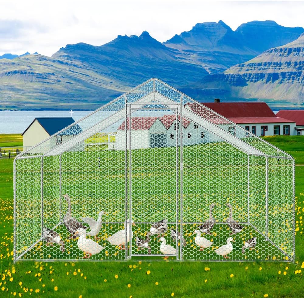 Kippenhok XL – Buitenren – Gevogelthek – Dierenren – Volière – Verzinkt Stalen Frame – 3x2x2 Meter Met Afsluitbare Deur