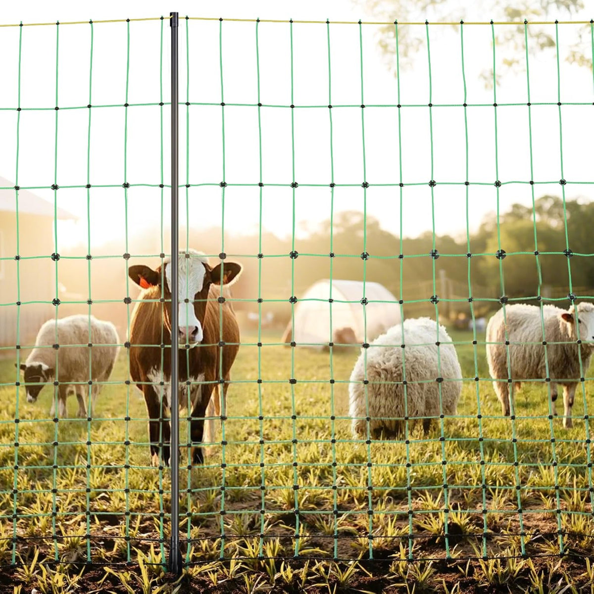 VEVOR Weidehek 1,27 x 50 m, schapennet met palen en haringen, draagbare omheining voor geiten, herten, varkens, tuinhonden, tuin, boerderijen