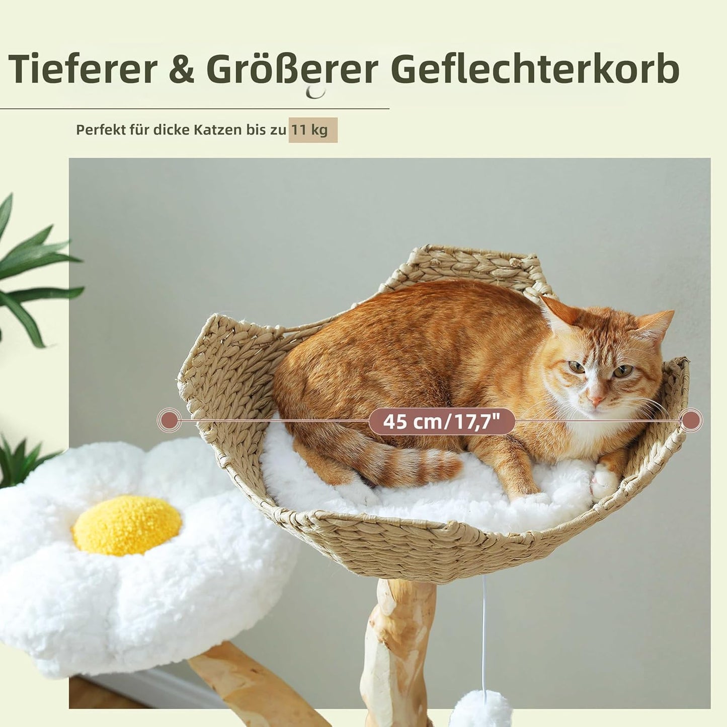 Krabpaal – Kattenboom – Kattenhuis – Kattenmand – Kattenmeubel – 150 cm Hoog – Massief Natuurlijk Hout