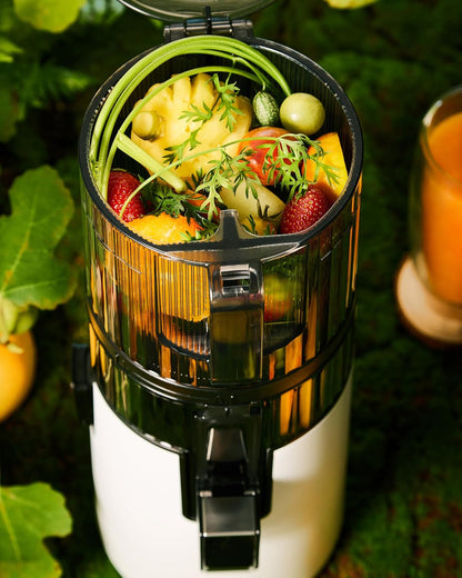 Hurom H70ST Nieuwe Slowjuicer | Elektrische koudepers | Sapcentrifuge voor groenten & fruit | 1,8L capaciteit | Automatische sapfunctie | BPA-vrij | 15 jaar garantie | Wit