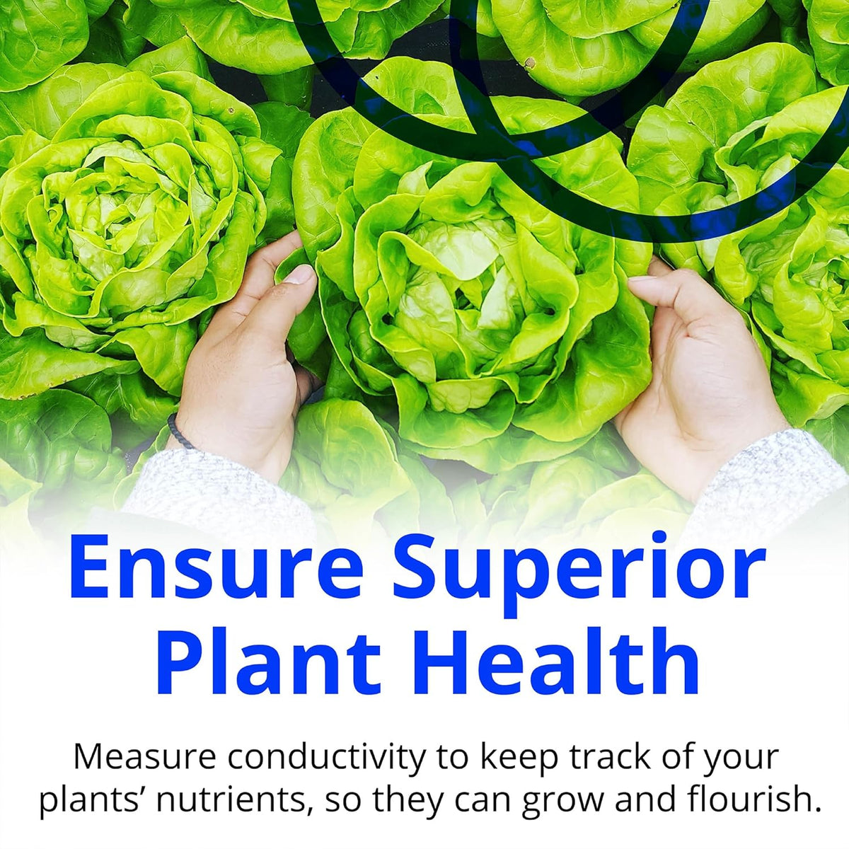 Bluelab TRUNCOMV2 Commercial Truncheon Nutrient Meter, Conductivity Measure in Solution, Increased Measurement Range