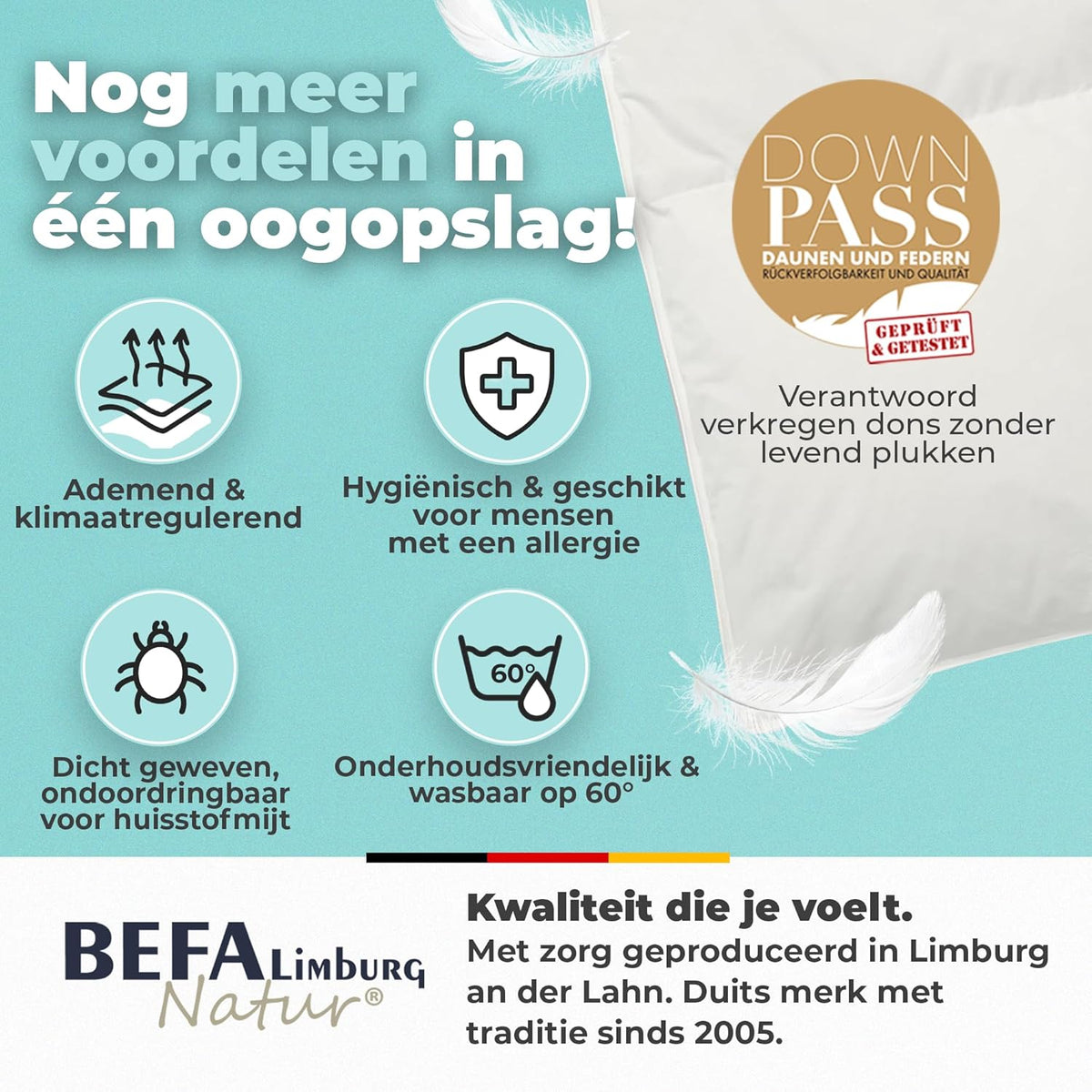 BEFA NATUR Donzen dekbed 160 x 210 cm (1, Vierseizoensdekbed, 240x220 cm)