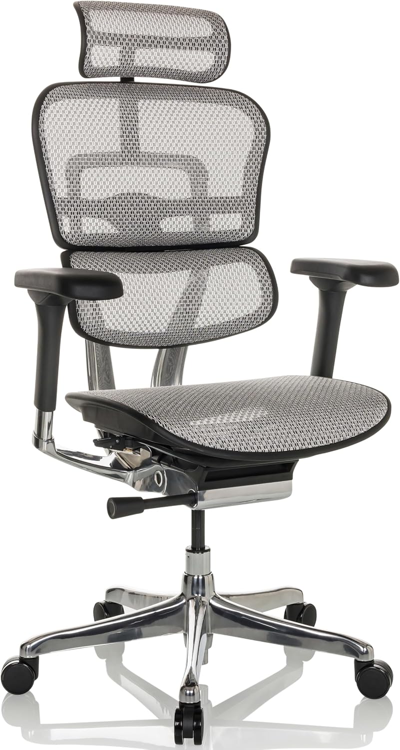 hjh OFFICE Ergonomische ergonomische Ergohuman, bureaustoel met flexibele lendensteun, Gen 2, netgrijs