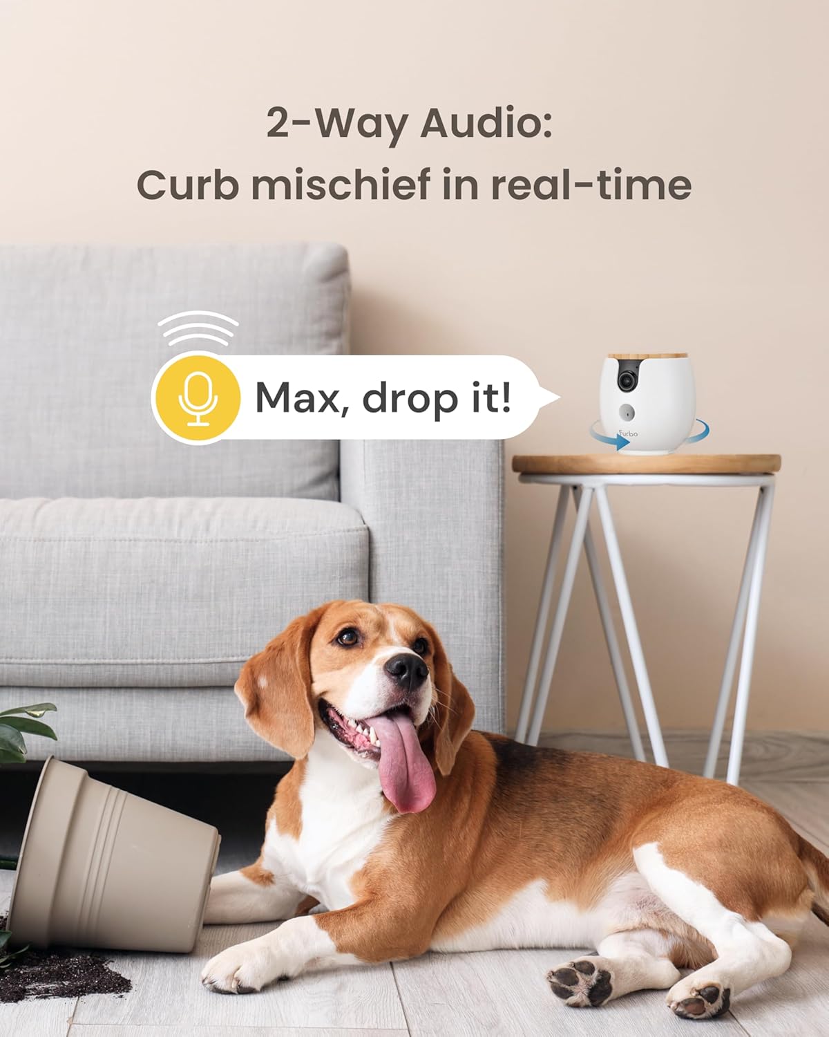 Furbo Mini 360° NIEUWE Pet Camera: Home Security Camera w/Barking/Meowing Alerts, Rotating Pet Treat Dispenser w/Phone App, Smart Indoor Cam with 2-Way Speaker & Night Vision (Geen abonnement vereist)